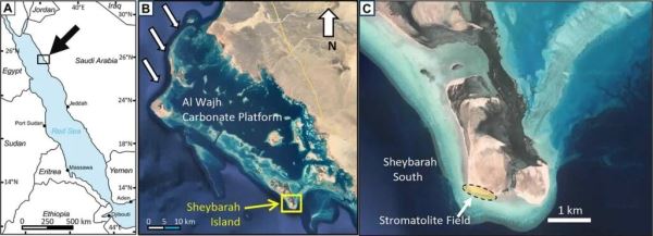 Жизнь на Земле могла появиться в Красном море 3,5 миллиарда лет назад